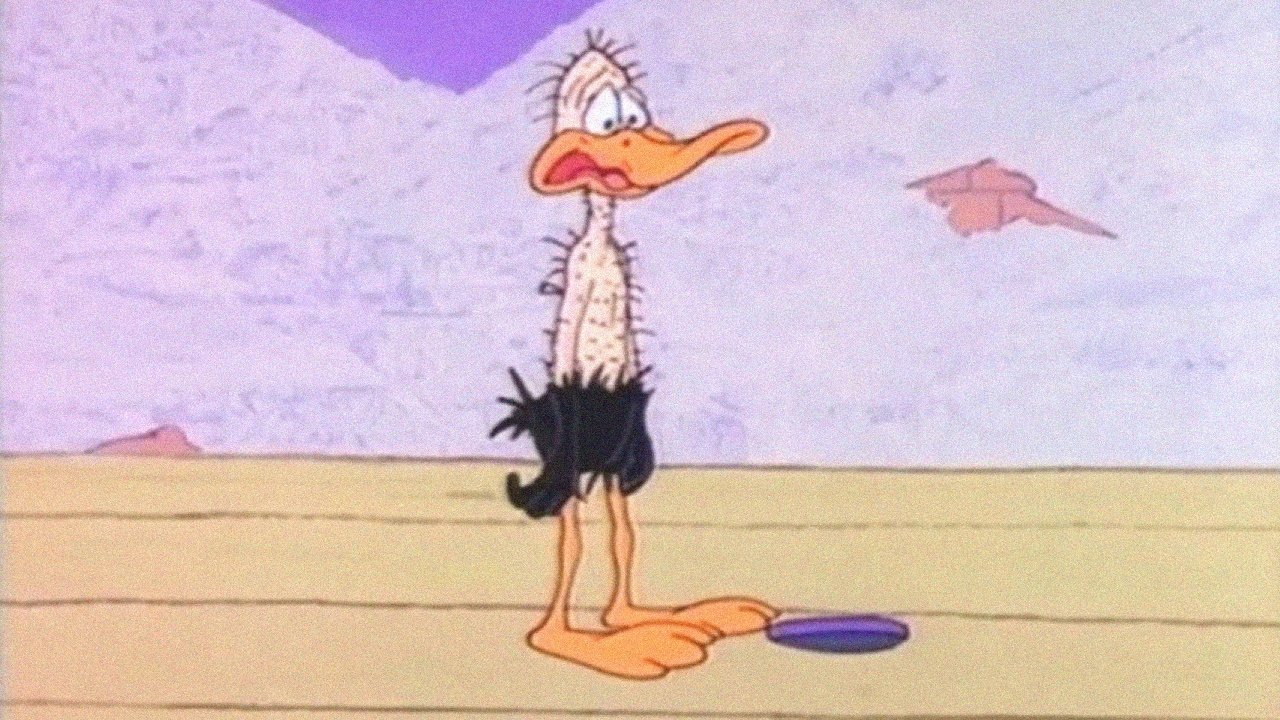 The Astroduck