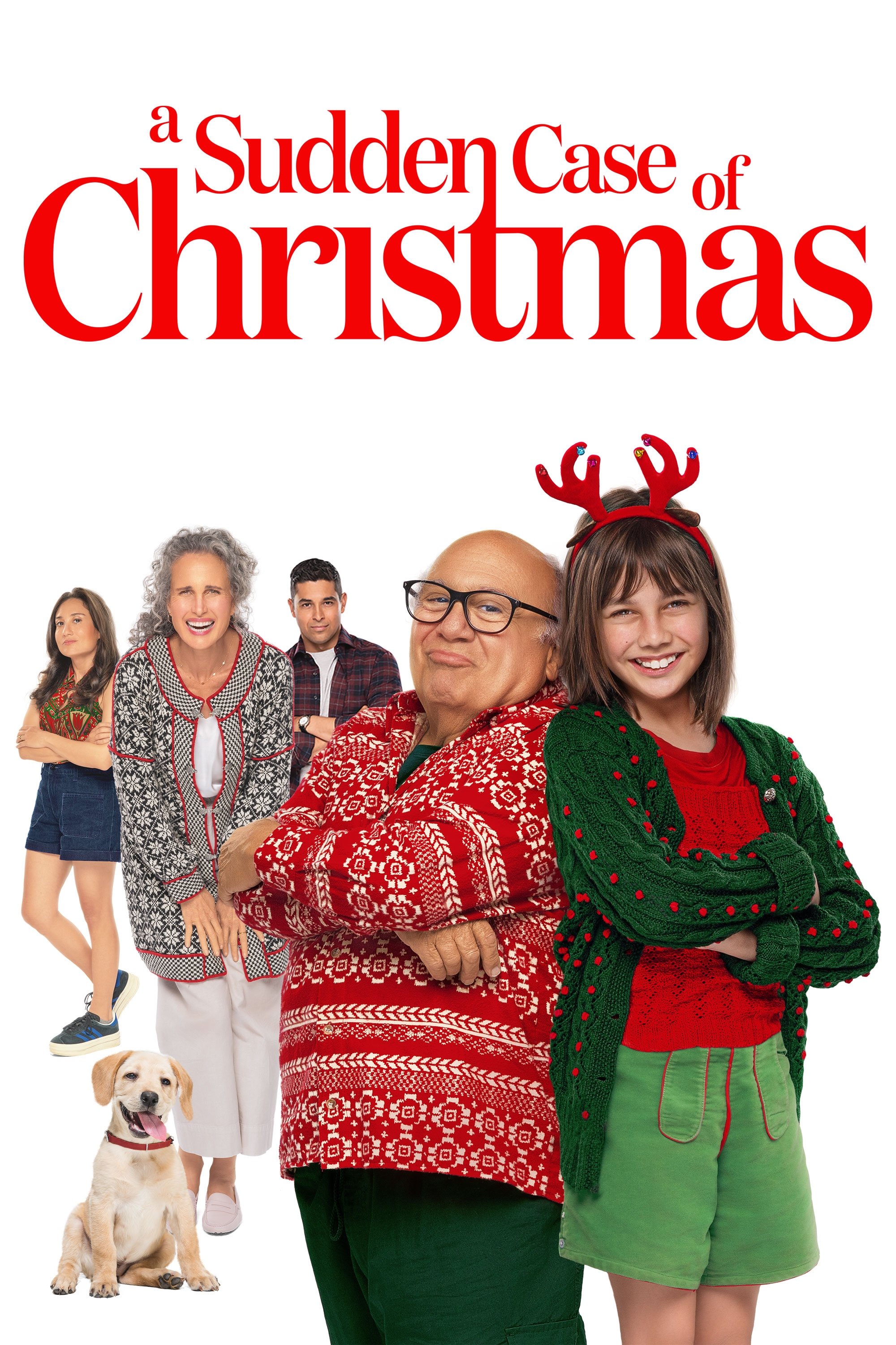A Sudden Case of Christmas poster