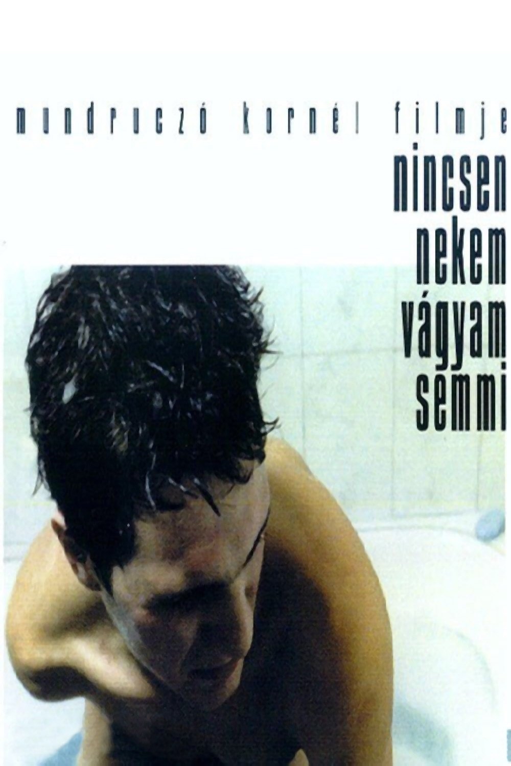 This I Wish and Nothing More poster