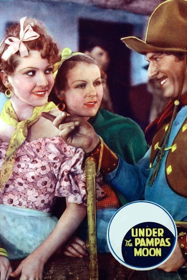 Under the Pampas Moon poster